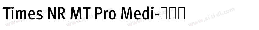 Times NR MT Pro Medi字体转换